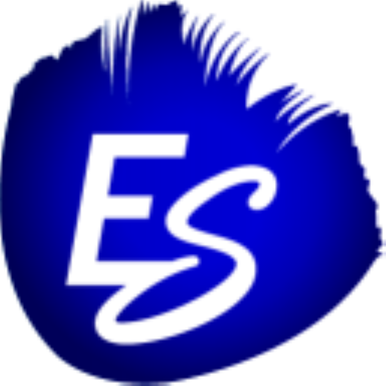 ES Software logo